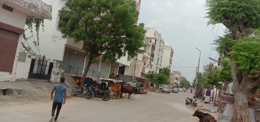 Corner Plot JDA Approved 60 ft Road at Devi Nagar-Sodala-Jaipur